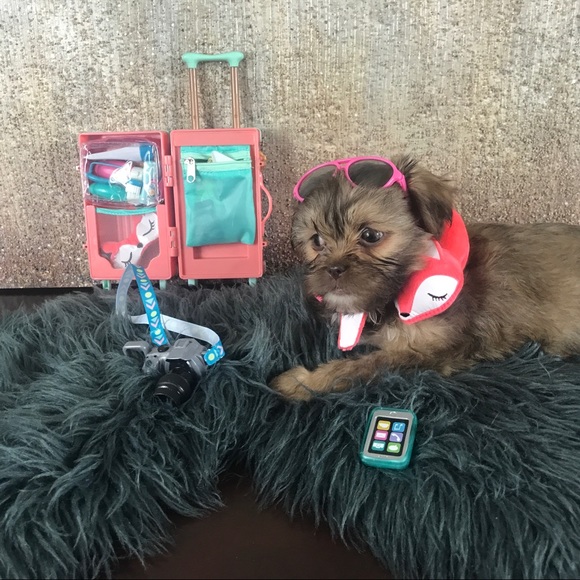 Meet your Posher, Largo - Picture 4 of 9